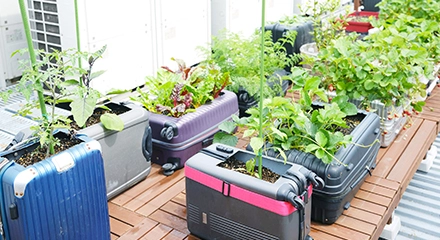 廃材を利用したプランター