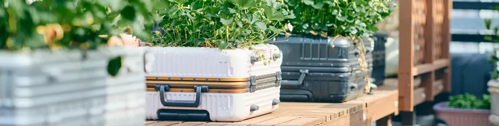 関連記事eco 庭プロジェクト画像